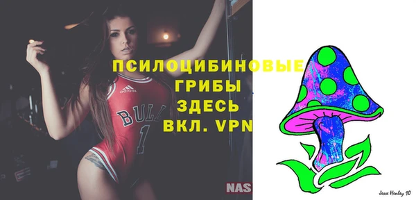 дмт Баксан
