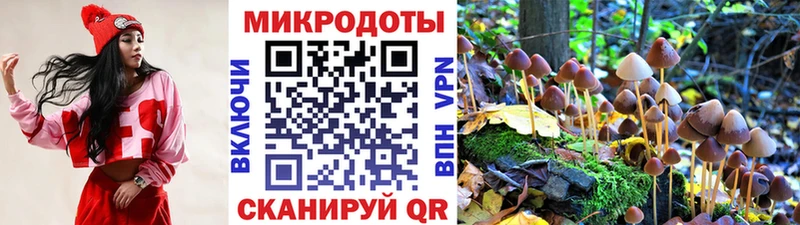Псилоцибиновые грибы ЛСД  Владимир 